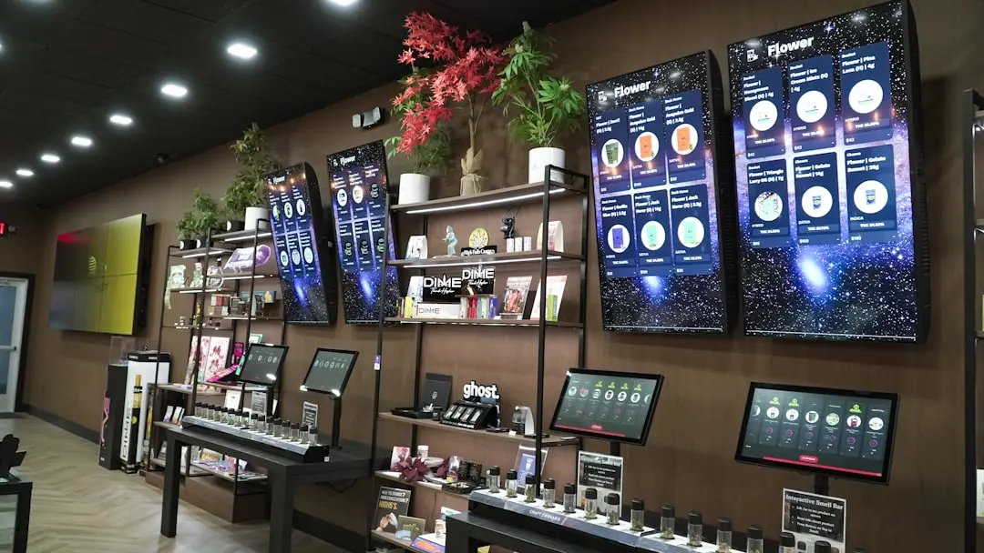 常州凯褚晟商贸有限公司日用百货批发品类结构与供货优势解析正文配图 1